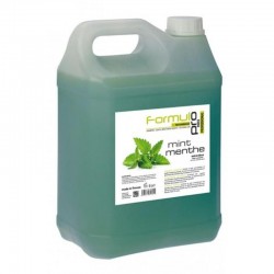 SHAMPOO MENTHE 5L 181707