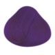 Repigmentant violet 88ML