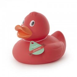 Grand Canard 21x18x18CM
