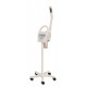 AROMETHERAPY ION FACIAL STEAMER