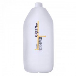 SHAMPOO GREEN TEA PERM REPAIR 4000ML