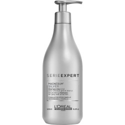 LP SE21 SILVER SHP 500ML R