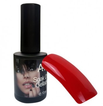 VERNIS SEM